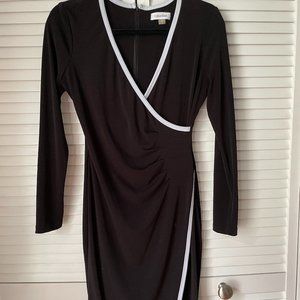 Long sleeve Calvin Klein dress size 4